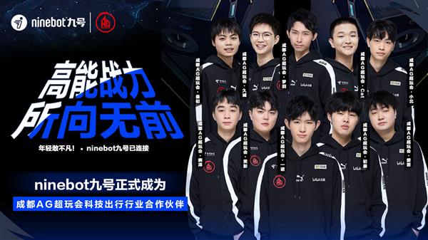 他的职业态